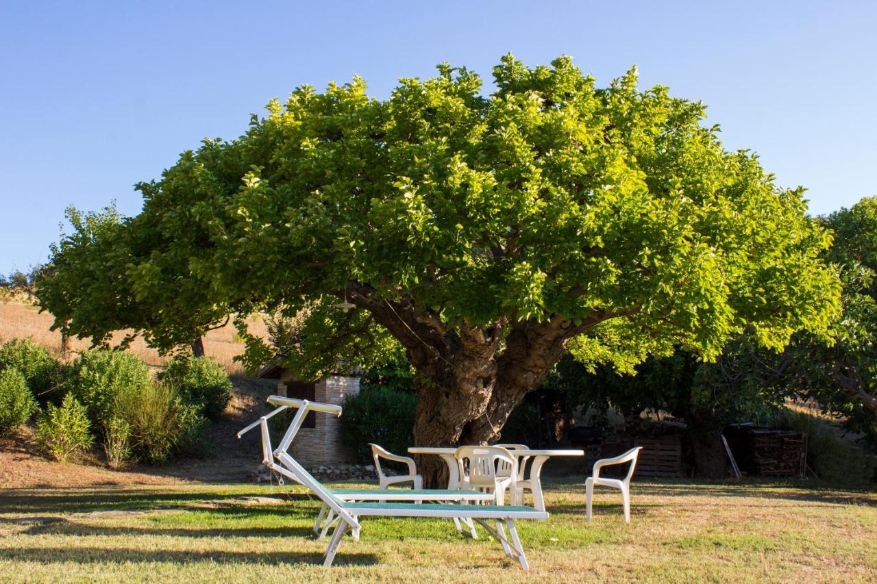 B&B Salvarosa Fano Ngoại thất bức ảnh